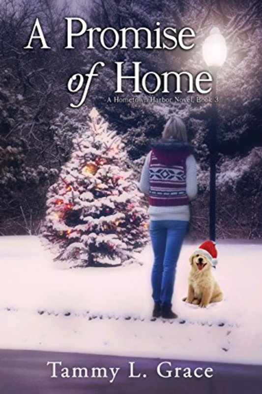 Book cover for "A Promise of Home" by Tammy L Grace