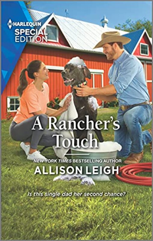 Allison Leigh book cover