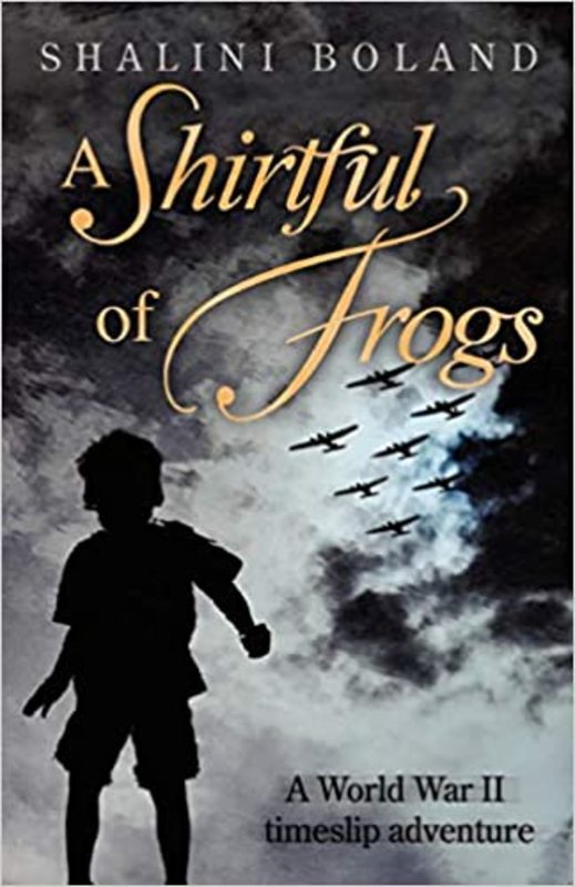 Book cover for "A Shirtful of Frogs" by Shalini Boland