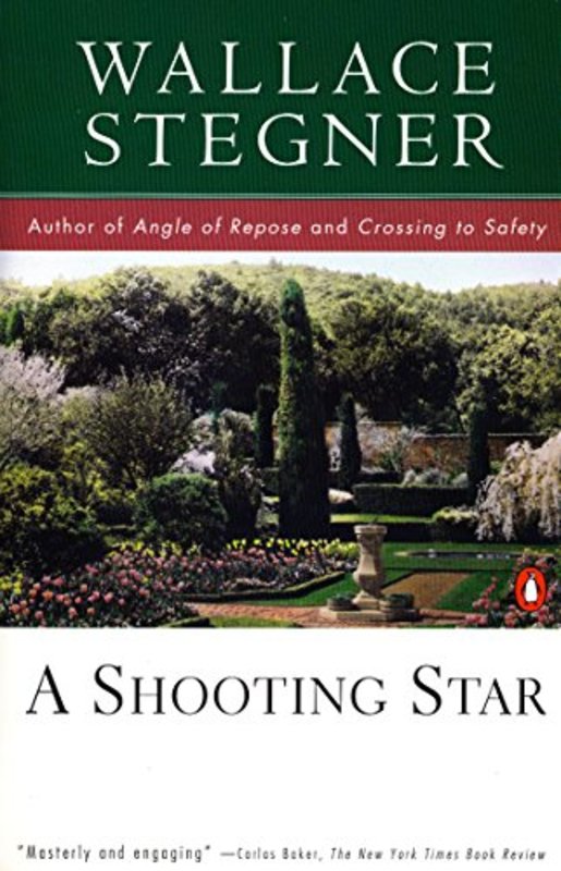Book cover for "A Shooting Star" by Wallace Stegner