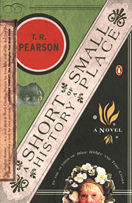 Book cover for "A Short History of a Small Place" by TR Pearson