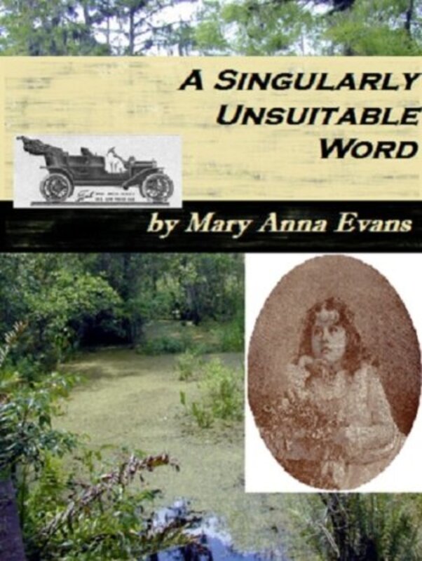 Book cover for "A Singularly Unsuitable Word" by Mary Anna Evans
