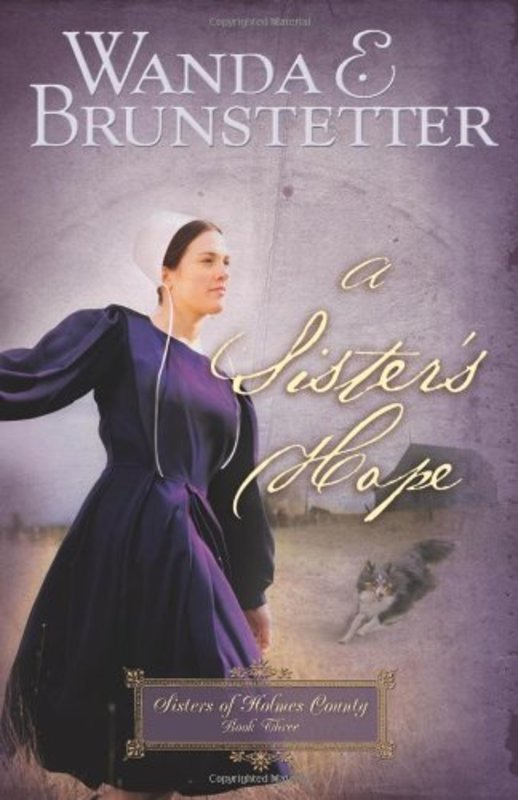 Sisters Of Holmes County book cover