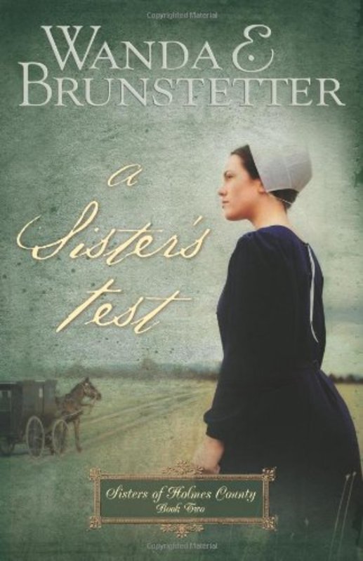 Sisters Of Holmes County book cover