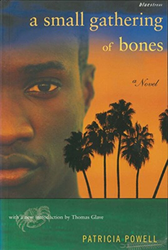 Book cover for "A Small Gathering of Bones" by Patricia Powell