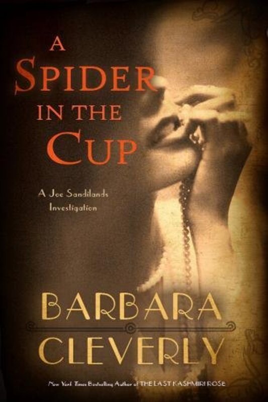 Detective Joe Sandilands book cover