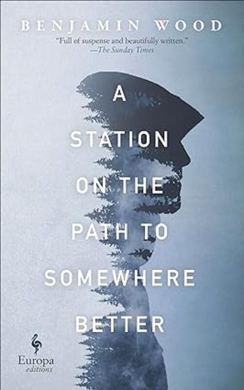 Benjamin Wood book cover