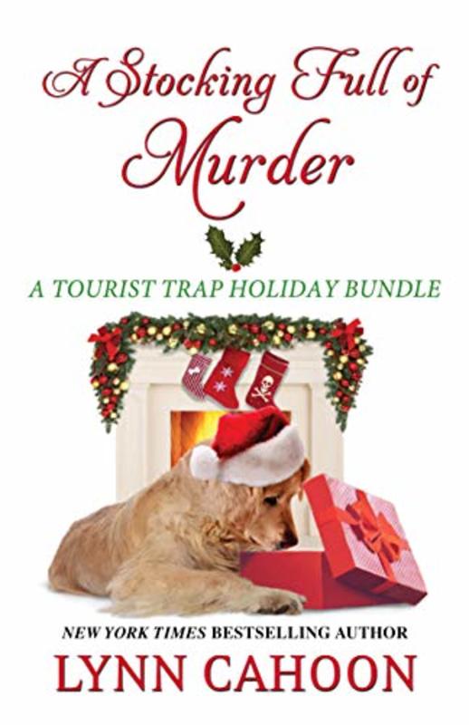 Book cover for "A Stocking Full of Murder" by Lynn Cahoon