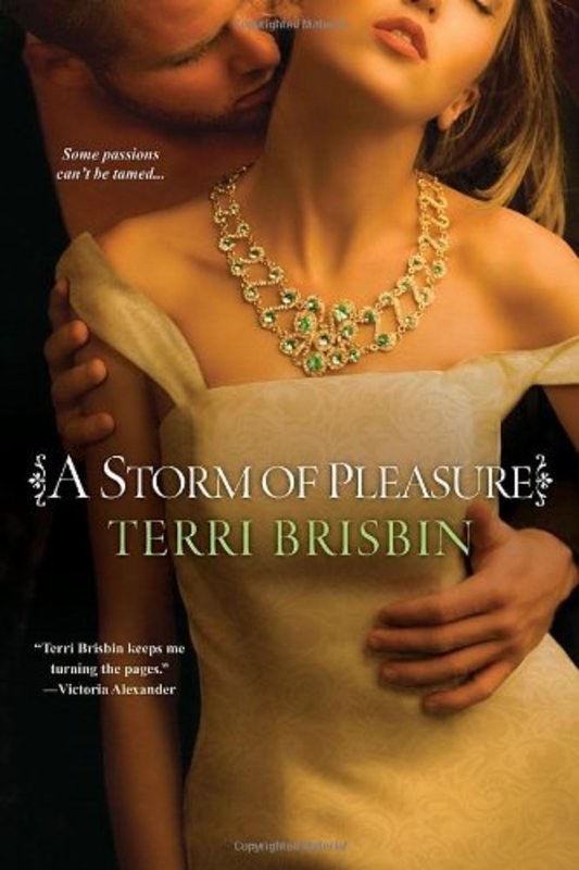 Book cover for "A Storm of Pleasure" by Terri Brisbin