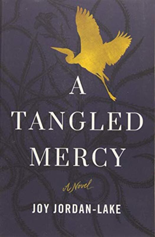 Book cover for "A Tangled Mercy" by Joy Jordan Lake