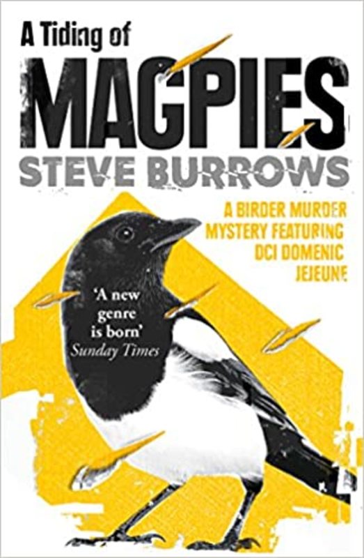 Steve Burrows book cover