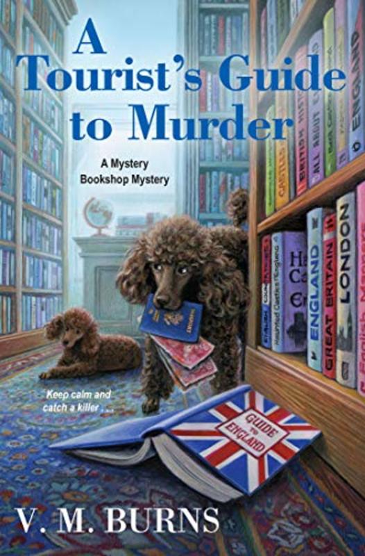 Valerie VM Burns book cover