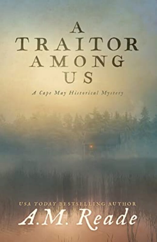 Amy M Reade book cover