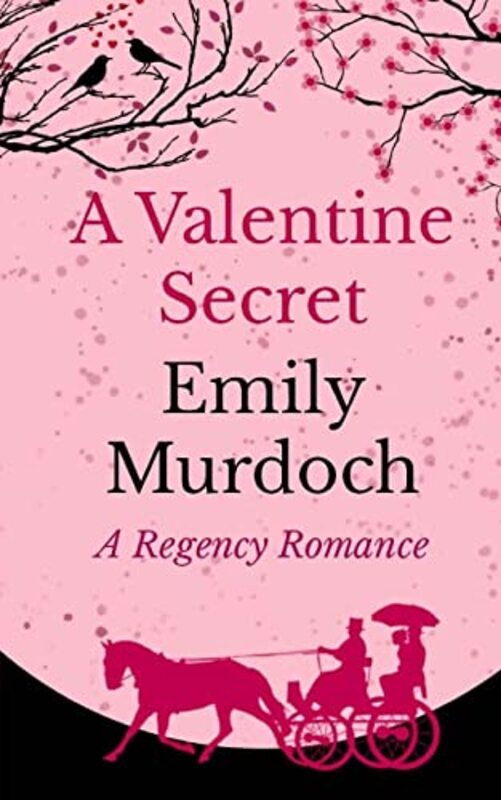 Book cover for "A Valentine Secret" by Emily EK Murdoch