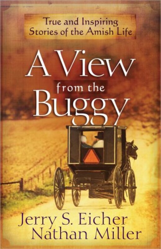 Book cover for "A View from the Buggy" by Jerry S Eicher