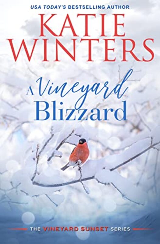 Book cover for "A Vineyard Blizzard" by Katie Winters