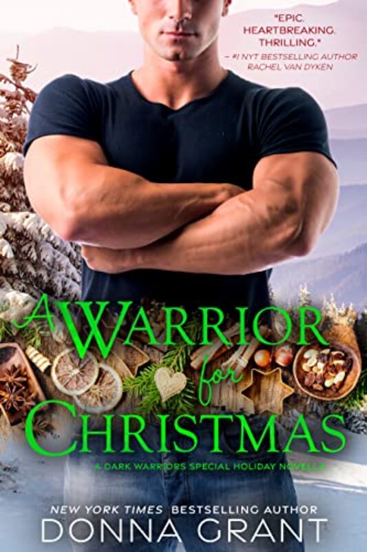 Dark Warriors book cover