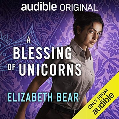 Book cover for "A Blessing of Unicorns" by Elizabeth Bear