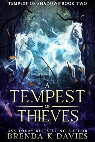 Book cover for "A Tempest of Thieves" by Brenda K Davies