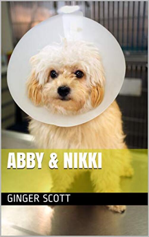Book cover for "Abby and Nikki" by Ginger Scott