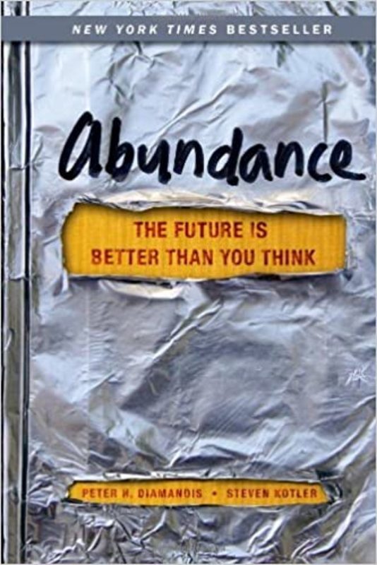 Book cover for "Abundance"