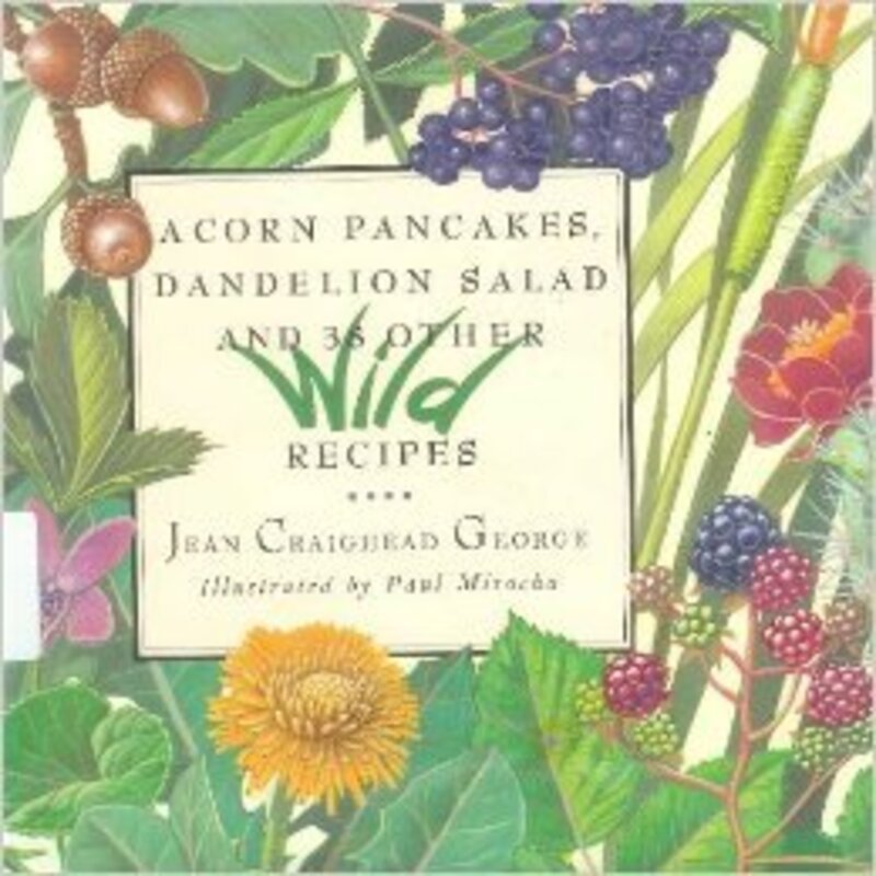 Book cover for "Acorn Pancakes, Dandelion Salad, and 38 Other Wild Recipes" by Jean Craighead George