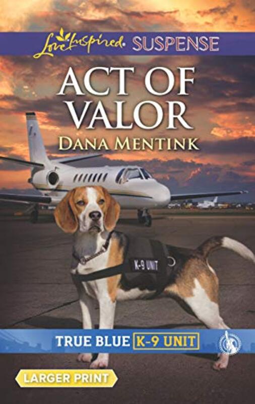 Book cover for "Act of Valor" by Dana Mentink