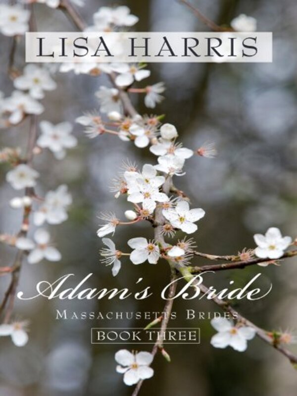Book cover for "Adam's Bride" by Lisa Harris