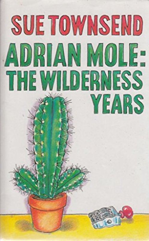 Book cover for "The Wilderness Years" by Sue Townsend