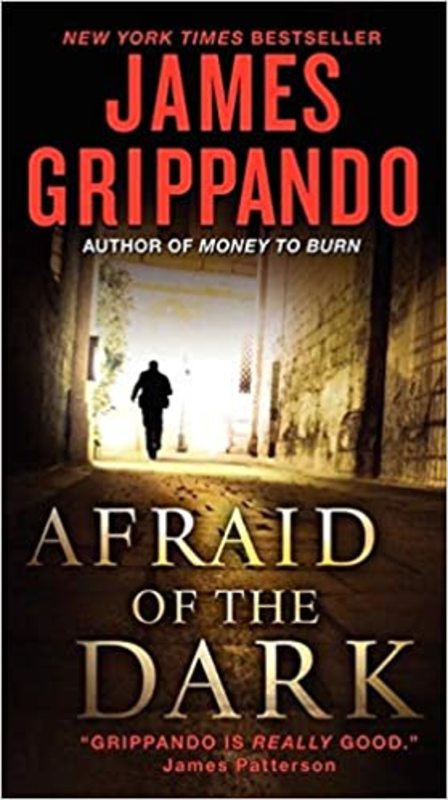 Book cover for "Afraid Of The Dark" by James Grippando