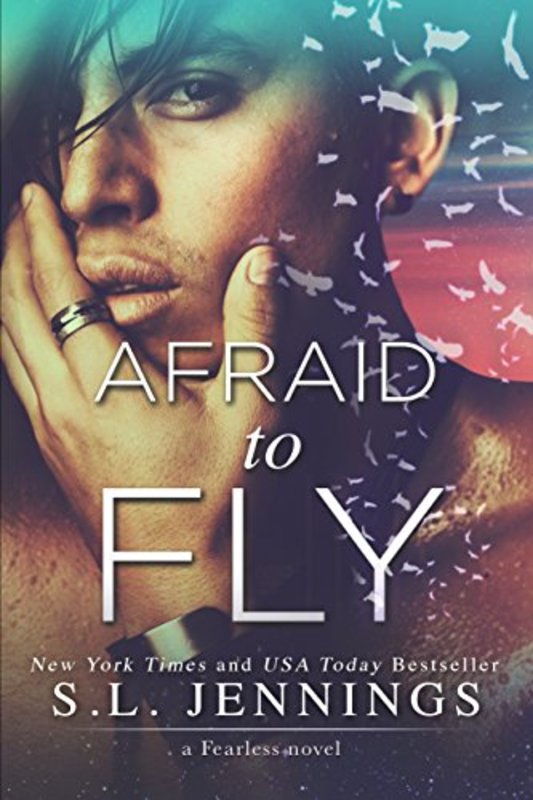 Book cover for "Afraid to Fly" by SL Jennings
