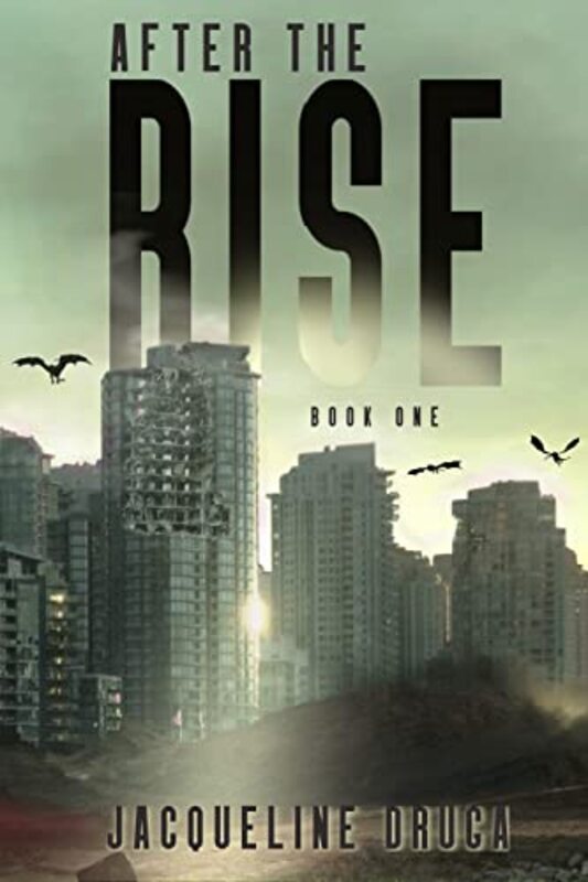 Book cover for "After The Rise: Book 1" by Jacqueline Druga