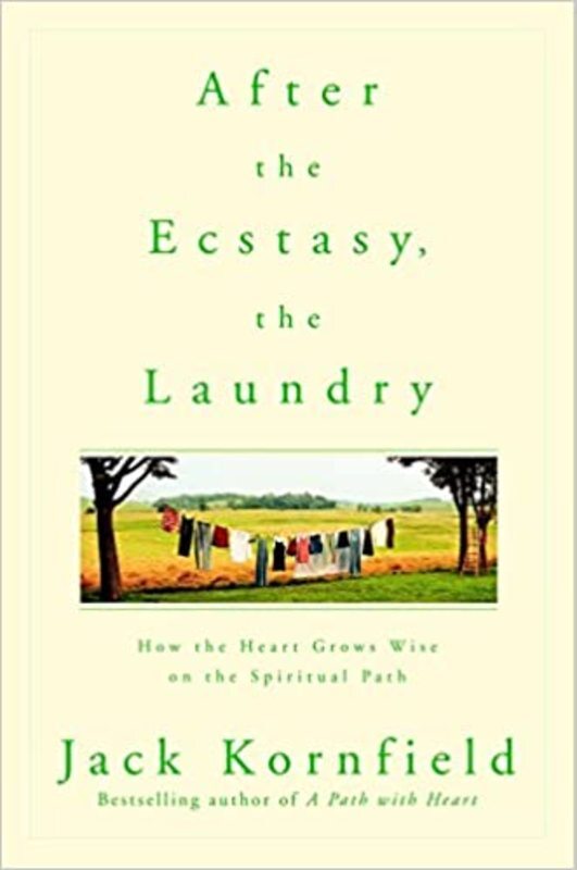 Book cover for "After the Ecstasy, the Laundry"