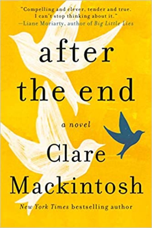 Book cover for "After the End" by Clare Mackintosh