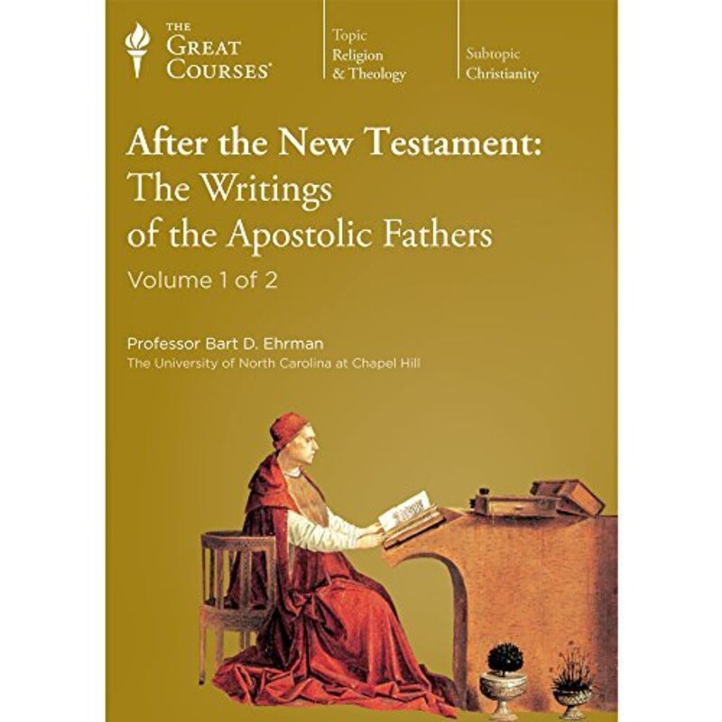 Book cover for "After the New Testament" by Bart D Ehrman