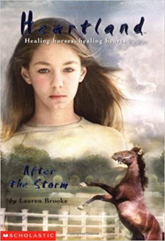 Book cover for "After the Storm" by Lauren Brooke