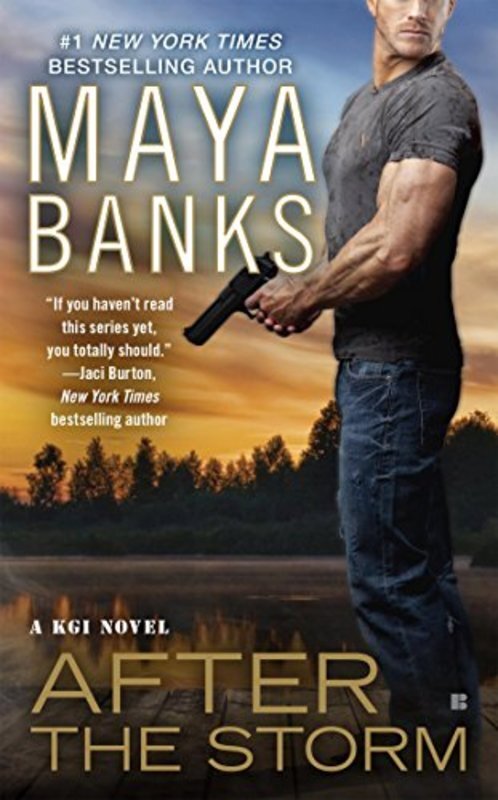Book cover for "After the Storm" by Maya Banks