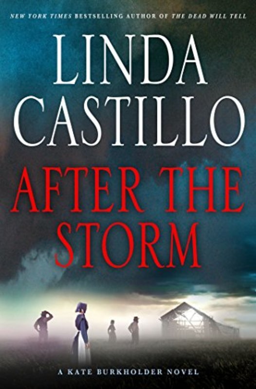 Book cover for "After the Storm" by Linda Castillo