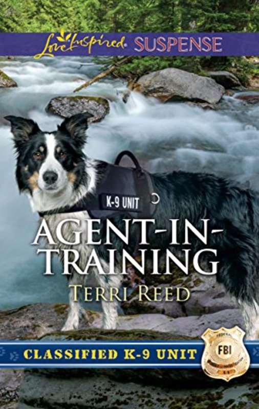 Book cover for "Agent-in-Training" by Terri Reed