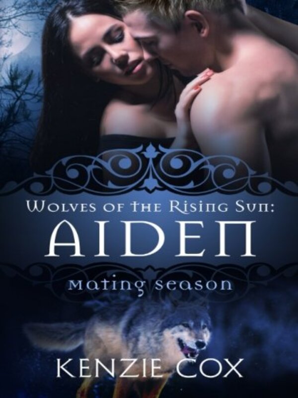 Book cover for "Aiden" by Deanna Chase
