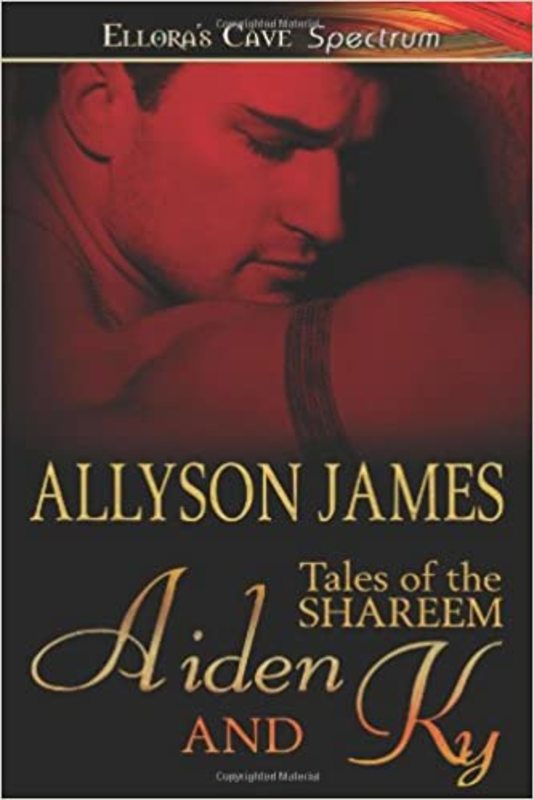 Book cover for "Aiden and Ky" by Allyson James
