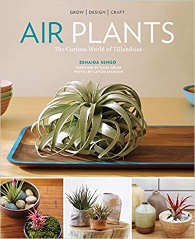 Book cover for "Air Plants" by Zenaida Sengo