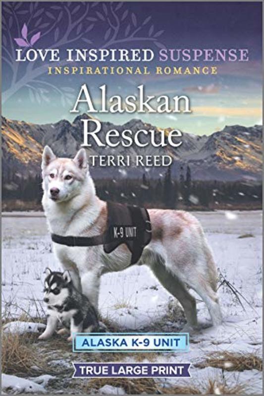 Book cover for "Alaskan Rescue" by Terri Reed