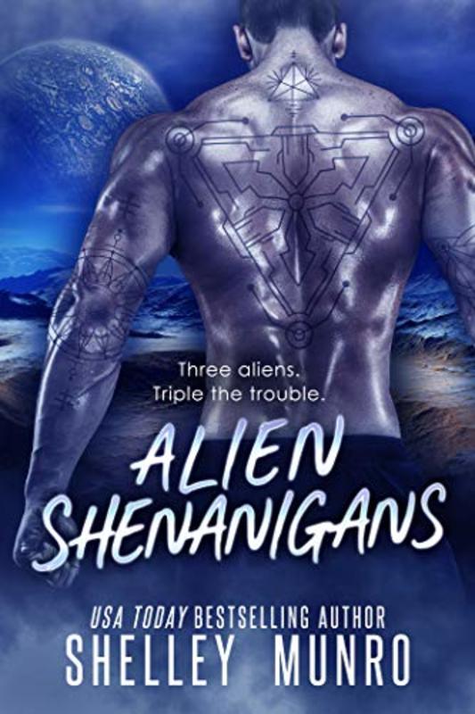 Shelley Munro book cover
