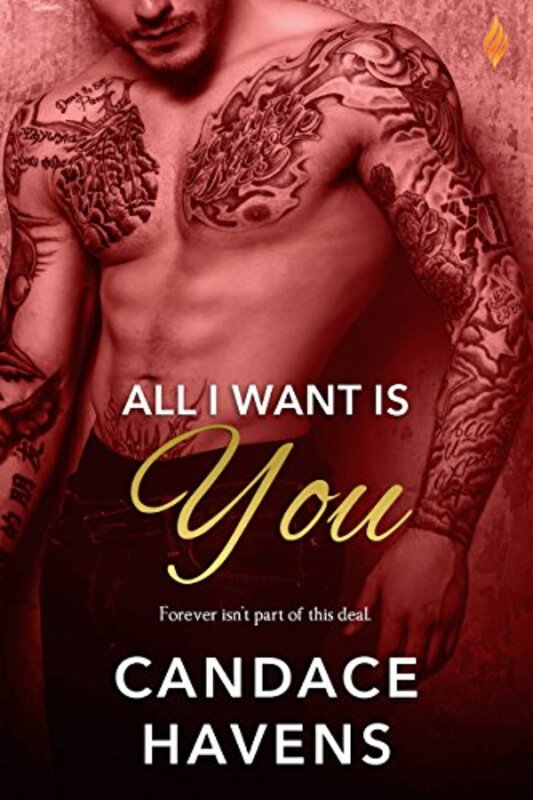 Book cover for "All I Want Is You" by Candace Havens