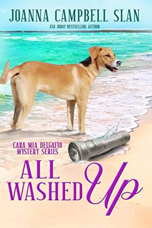 Book cover for "All Washed Up" by Joanna Campbell Slan