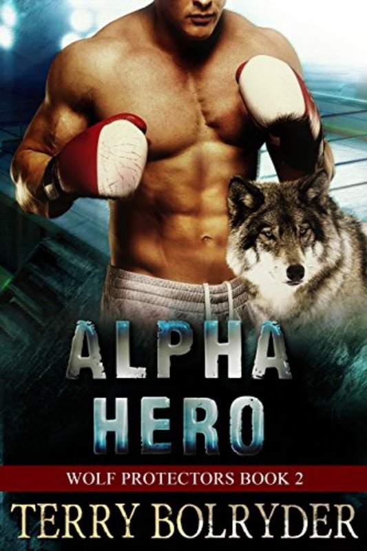 Book cover for "Alpha Hero" by Terry Bolryder