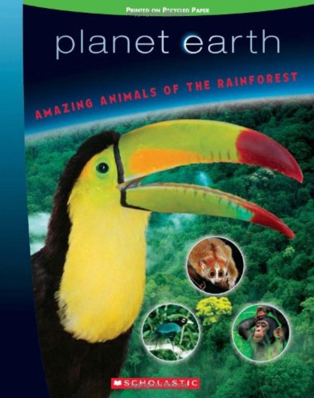 Book cover for "Amazing Animals Of The Rainforest" by Tracey West