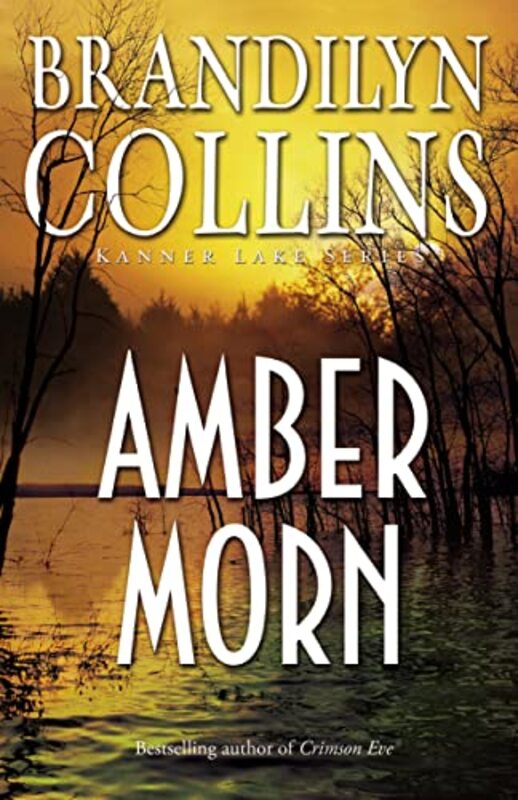 Book cover for "Amber Morn" by Brandilyn Collins