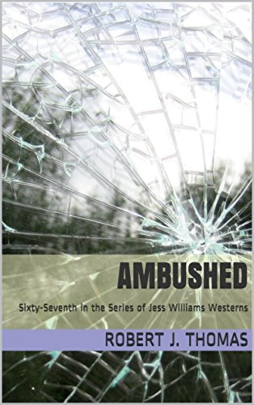 Book cover for "Ambushed" by Robert J Thomas